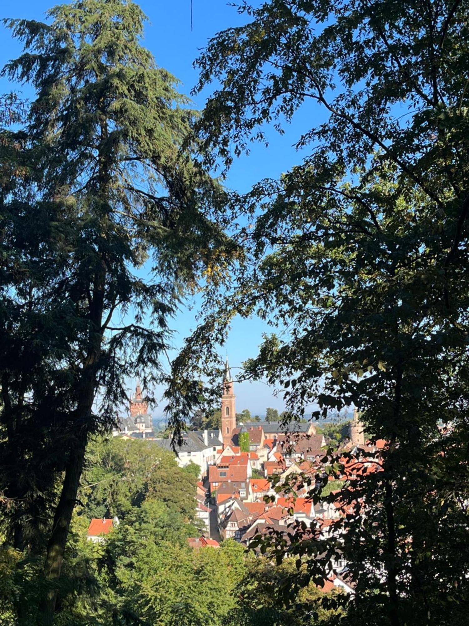Ferienwohnung Burgenblilck Weinheim Exterior foto